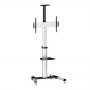 Logilink BP0025 TV stand cart, adjustable TV height, 37-70", max. 50 kg Logilink | Floor stand | BP0025 | 30-70 "" | Maximum wei - 2